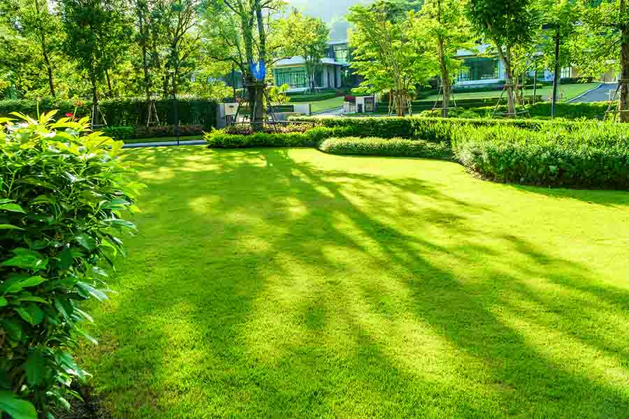 Trusted landscaping contractor in Yuma, AZ Trusted landscaping contractor in Yuma, AZ