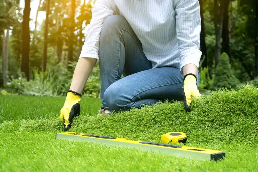 Affordable Artificial Turf Installation Yuma, AZ Affordable Artificial Turf Installation Yuma, AZ