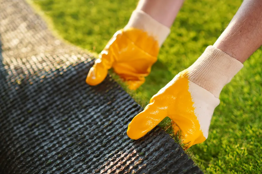 Choosing The Right Type Of Turf For Artificial Turf Installation Yuma, AZ Choosing The Right Type Of Turf For Artificial Turf Installation Yuma, AZ