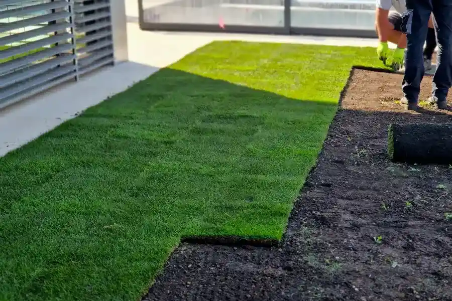 Expert Artificial Turf Installation Yuma, AZ Expert Artificial Turf Installation Yuma, AZ
