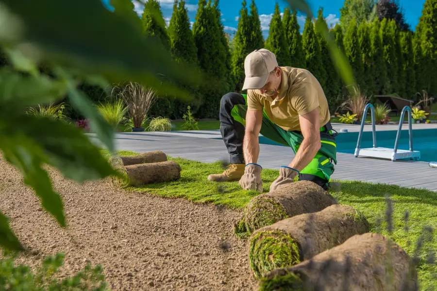 Professional Sod Installation Yuma, AZ Professional Sod Installation Yuma, AZ