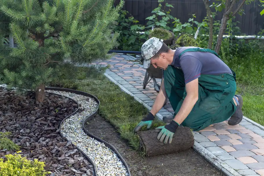Reliable Sod Installation Yuma, AZ Reliable Sod Installation Yuma, AZ