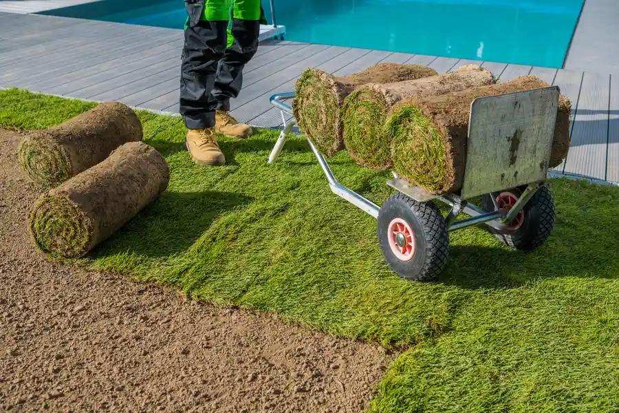 Sod Installation For Better Lawn Drainage Yuma, AZ Sod Installation For Better Lawn Drainage Yuma, AZ